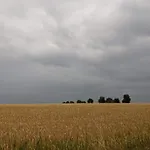 度假居 4 Person In Aeroskobing-by Traum Ærøskøbing