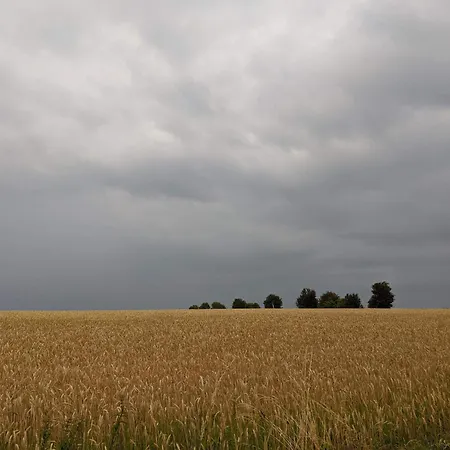 Feriehus 4 Person In Aeroskobing-by Traum Ærøskøbing