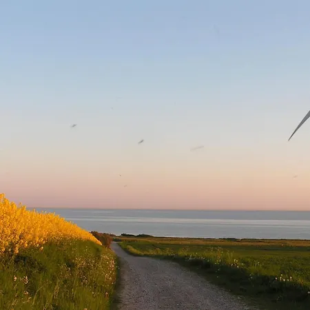 4 Person In Aeroskobing-by Traum Ærøskøbing