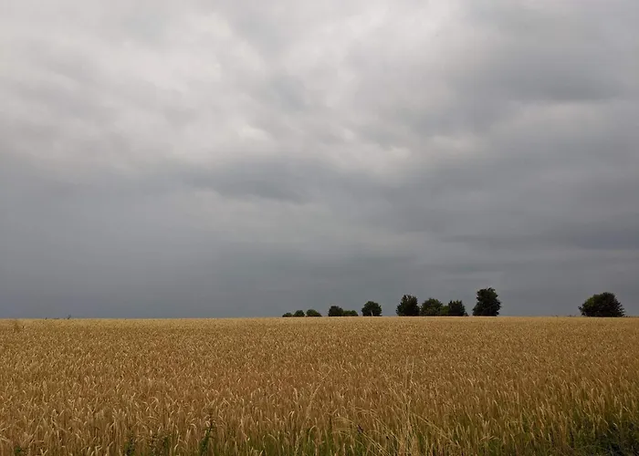 Vakantiehuis 4 Person In Aeroskobing-by Traum Ærøskøbing