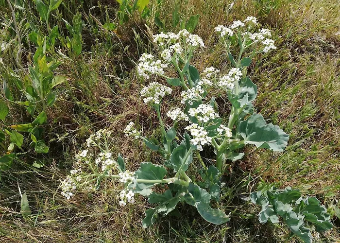 4 Person In Aeroskobing-by Traum